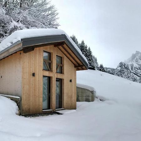Chalet*** Au Pied D'Une Prairie Face A La Montagne Sixt Zewnętrze zdjęcie
